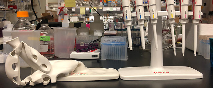 #1_0086 - Lab Fails 2020_700 x 290