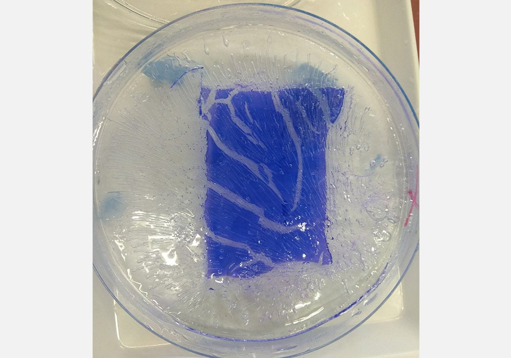 cracked sds-page gel, improperly stored