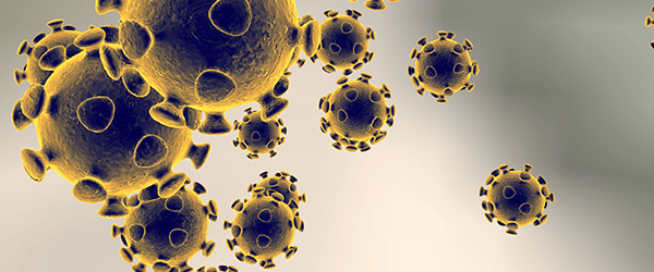 Coronavirus molecule