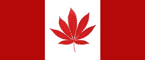 Canada Cannabis Flag