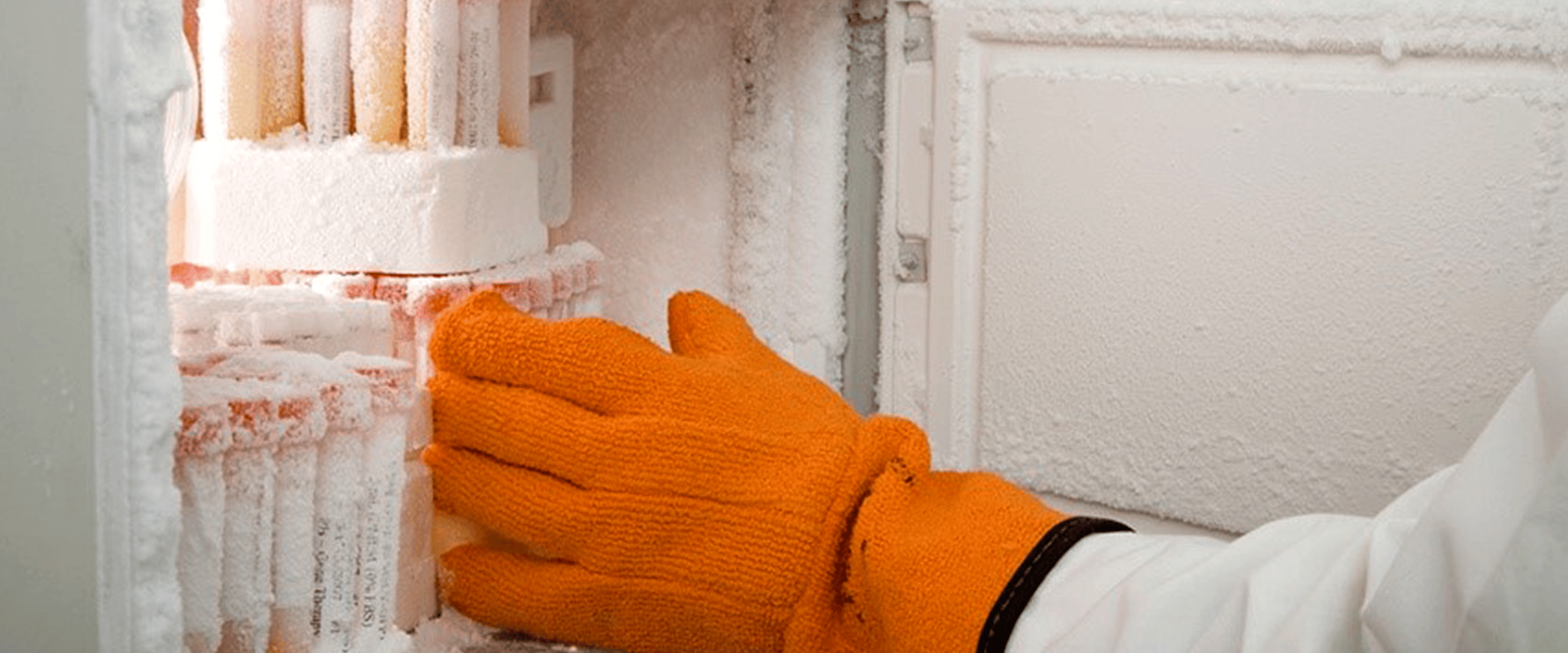 Freezer Inventory Management-1