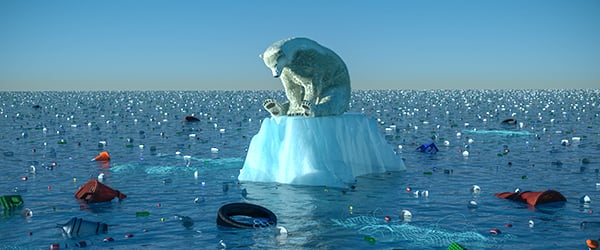 Polar Bear on ice cap