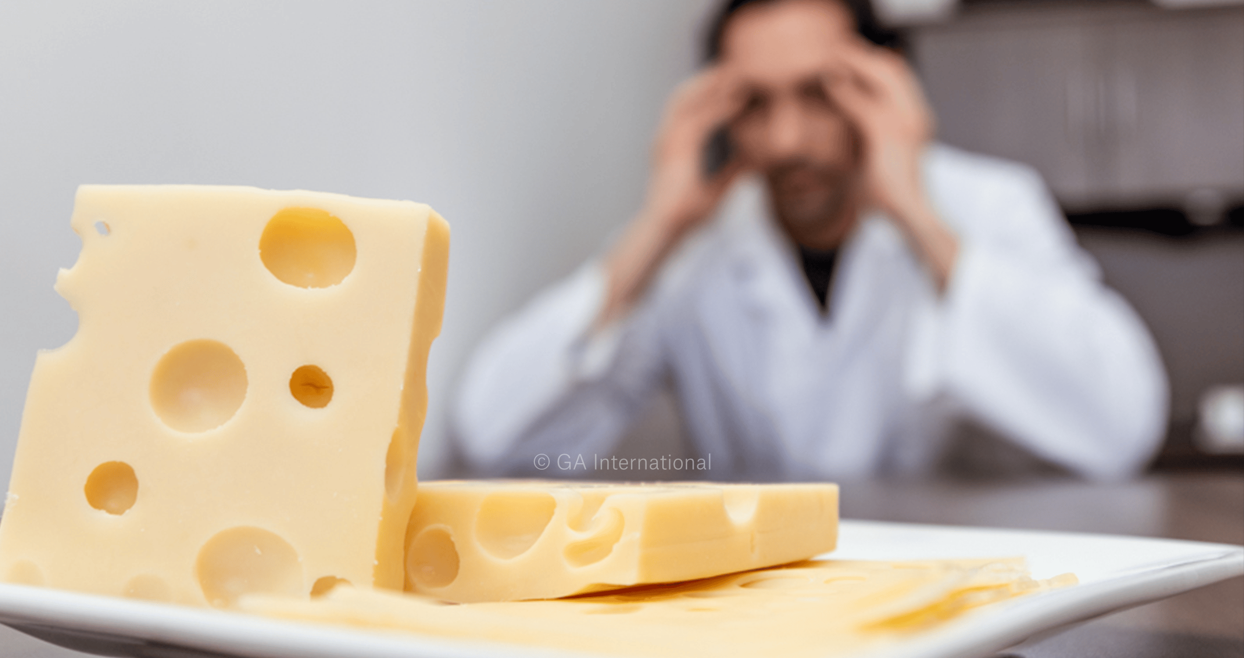 Swiss Cheese Model